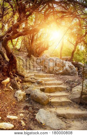 Amazing natural mysterious landscape in the Avakas canyon in Cyprus. National wild sunny park with stairs leading to the sun.