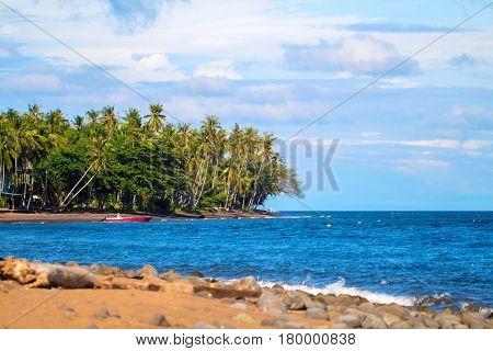 Tropical landscape with coco palm trees and sea. Beautiful lagoon with empty beach. Fresh greenery of tropical island. Seaside scene with tropical forest. Relaxing beach day. Blue sea banner template