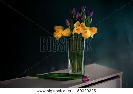 yellow daffodil flowers with pupple tulip blooming in vase with green wall. Dark key. Interior with candle