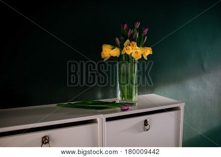 yellow daffodil flowers with pupple tulip blooming in vase with green wall. Dark key. Interior with candle