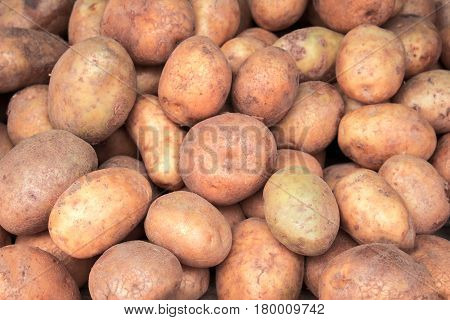Pile of potato closeup image. Brown and yellow vegetables picture. Vegetarian shop display photo. Picture of raw potato cooking ingredient. Garnet vegetable. French fries or mashed potato ingredient