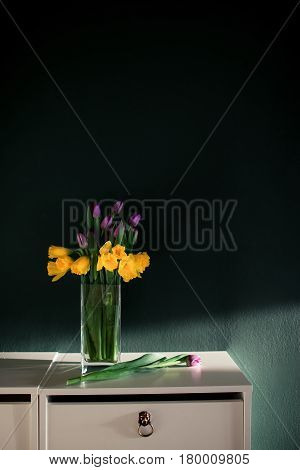 yellow daffodil flowers with pupple tulip blooming in vase with green wall. Dark key. Interior with candle