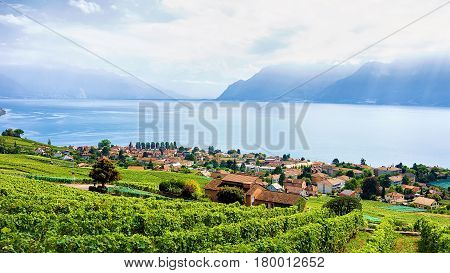 Swiss Village Near Lavaux Vineyard Terrace Hiking Trail In Switzerland