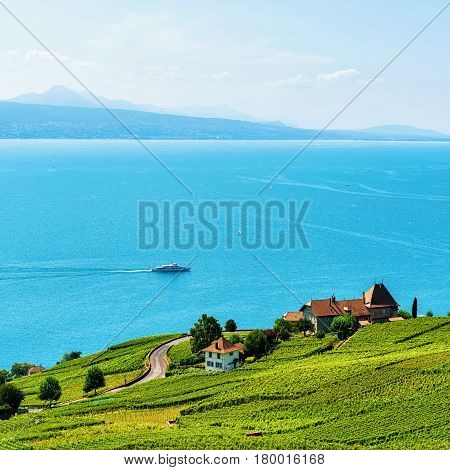 Lavaux Vineyard Terrace Swiss
