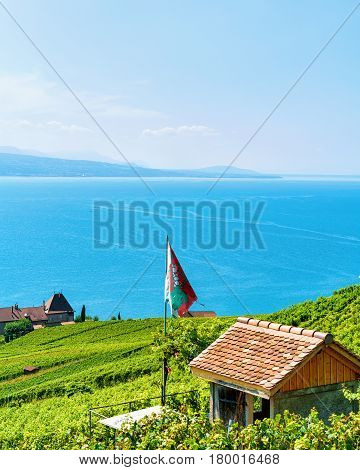 Lavaux Vineyard Terraces Hiking Route Swiss