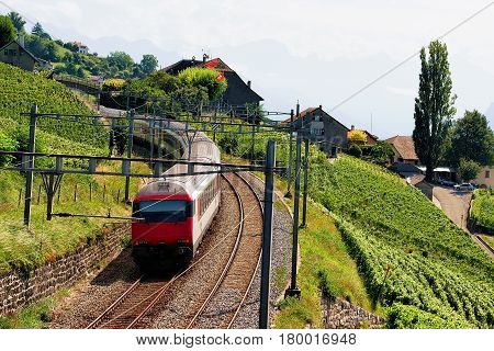 Running Train At Lavaux Vineyard Terraces Hiking Trail Switzerland