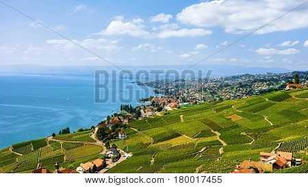 Swiss Chalets Near Lavaux Vineyard Terrace Hiking Trail In Switzerland