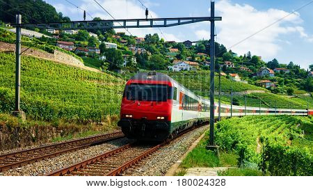 Train And Railroad At Lavaux Vineyard Terraces