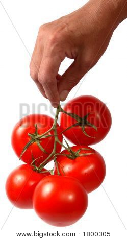 Tomato_In_Hand