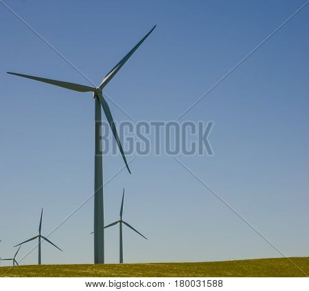 Wind Turbines  under blue sky in Rio Vista