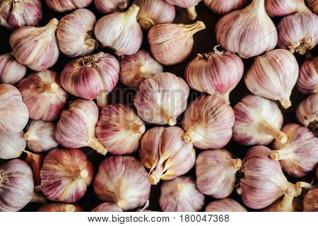 Close-up Garlic Bulbs And Garlic Cloves On Wodeen Background. Ga