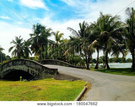 Cement Bridges