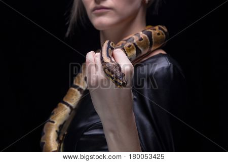 Woman in leather dress holding ball python on black background