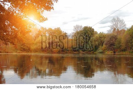 View on autumn landscape of river and trees in sunny day water