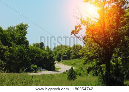 Spring grass grows on the field against the backdrop of the sunset. Spring landscape Panorama hd