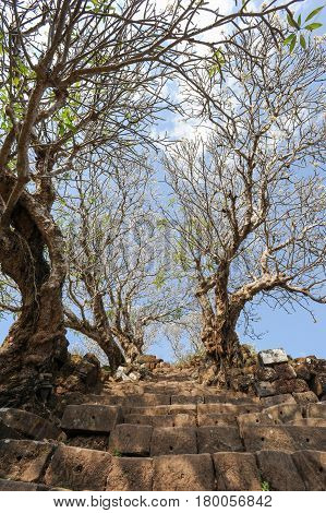 The Steps To The Temple Of Wat Phu At Champasak