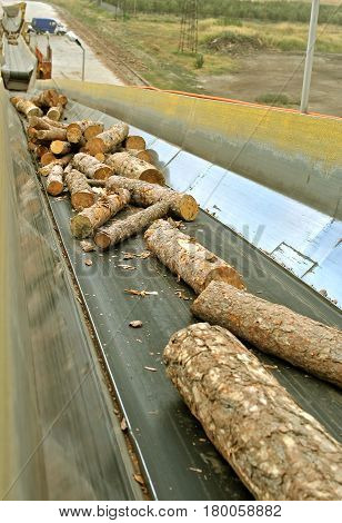 Close up Lumber industry - conveying belt