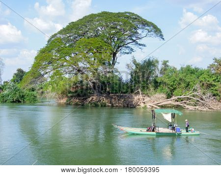 Big Tree On Mekong River At Don Det Island