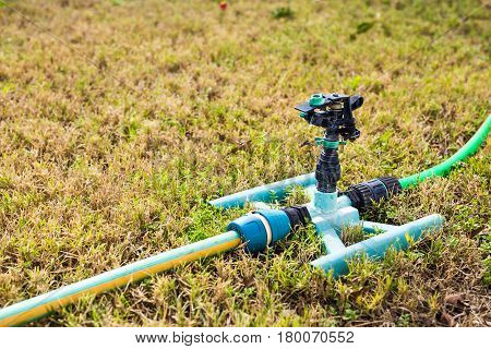 Sprinkler head for spraying water over green grass