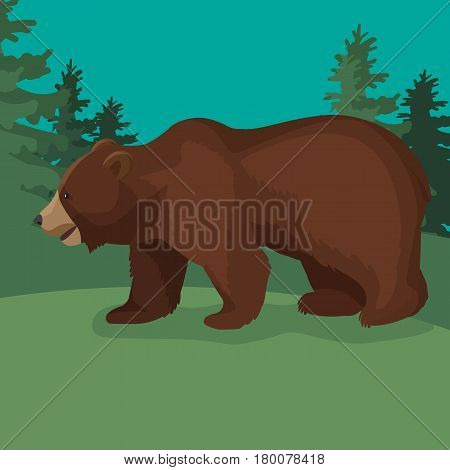 Large brown bear side view close-up graphic walking in green wood. Wild animal stands on four paws with slightly opened mouth. Vector illustration of terrestrial predaceous mammal web banner.