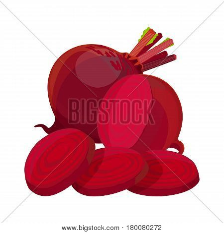 Beetroot whole half and slices isolated on white background. Purple beet realistic vector illustration. Healthy organic vegetable with edible root