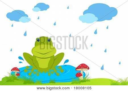 Grenouille en jour de pluie