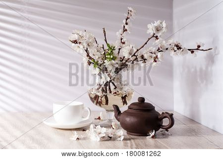 Still life with apricot blossom in a morning sunlight