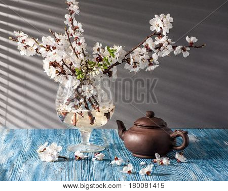 Still life with apricot blossom in a morning sunlight