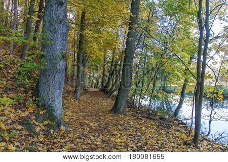 a walkway next to schwandorf in bavaria next to the river naab in fall Schokoladenwegerl