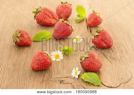 Ripe red strawberries and small daisy flowers on a wooden background. Strawberries over wooden table background with copy space.