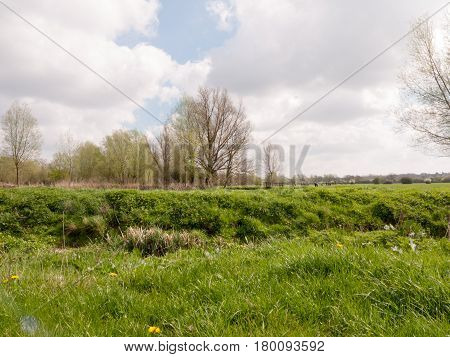 A Field Of Grass With A Very White And Cloudy Sky