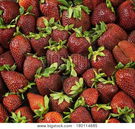 Many Fresh natural and ripered strawberry berries. Close-up top view background