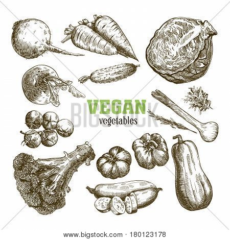 Set of vegetables. Harvesting. Hand drawn vector sketches on a white background
