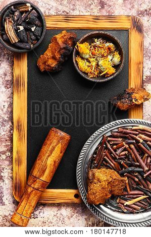 Gathering Roots And Herb