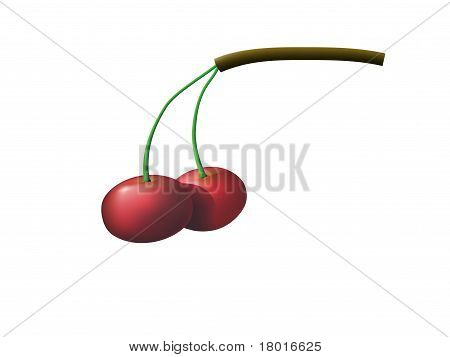 Cherry