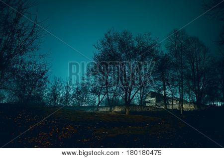 House In Fog At Night In The Garden, Landscape Of Ghost House In The Dark Forest.