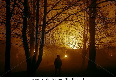 Strange Silhouette In A Dark Spooky Forest At Night, Mystical Landscape Surreal Lights With Creepy M