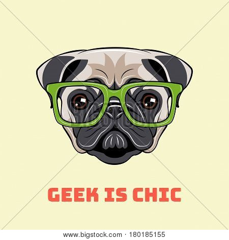Cute portrait of nerdy Pug dog. Vector illustration isolated on white background