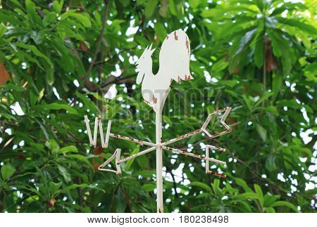 White rooster cock shaped weather vane under the green foliage, Thailand