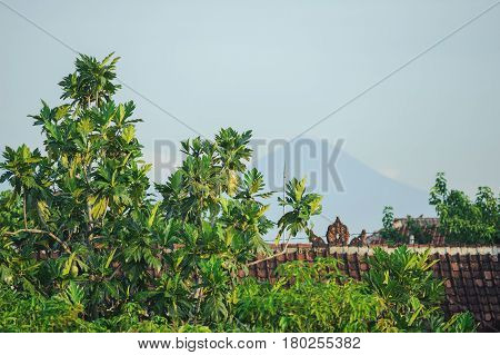 Morning on a tropical island. Fresh tropical greens above the red roof of a village house in Asia. Tropical landscapes - palm trees, blue sky and a volcano in the background. 