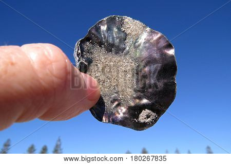 Metallic mother-of-pearl mother of pearl beach sea shell against a blue sky horizon shimmer in sun held by hand