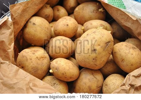 Whole Fresh Harvested Potatoes in a Bag