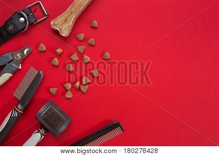 Acessories for the grooming of the dog. Combs and brushes for dogs. Top view. Still life. Copy space
