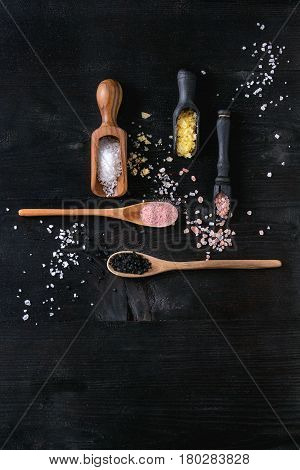 Variety of different colorful salt yellow saffron, pink, black himalayan, white sea and fleur de sel in wooden spoons over black burnt wood background. Top view with space