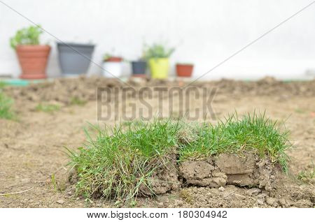 Preparing Lawn In A Backyard