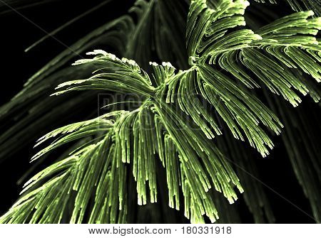 Bacteria or virus for use with projects on science research biology and education. 3D illustration