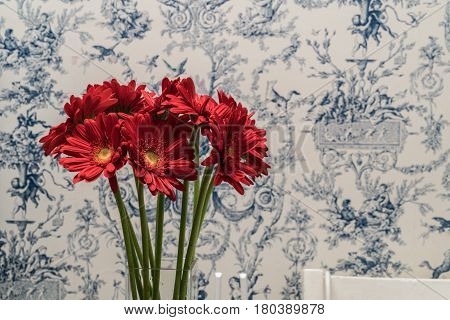 The elegant red Gerbera on the graphic wall