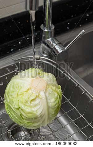 washing fresh cabbage on sink vertical composition