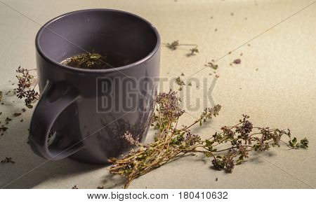 A cup of tea with fragrant thyme. Dried thyme