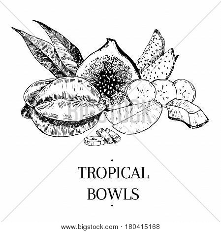 Vecotr hand drawn exotic fruits. Engraved smoothie bowl ingredients. Tropical sweet food. Carambola fig mango pitaya banana coconut. Use for exotic restaurant food partty